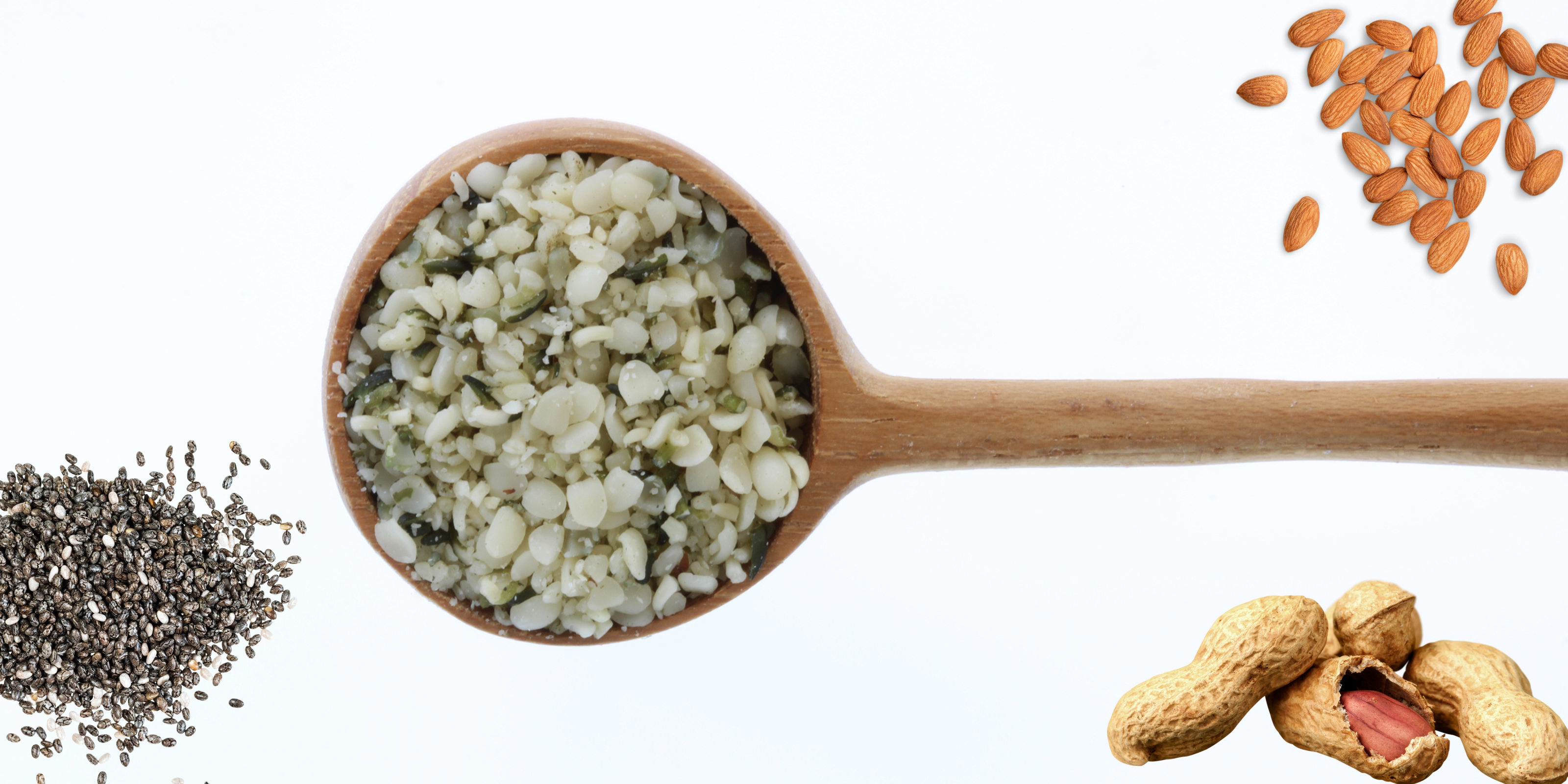 Eiweißaufnahme Warum braucht man eigentlich so viel Protein zum Muskelaufbau