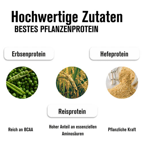 Vegan Proteinpulver Vanille 10 x 1kg