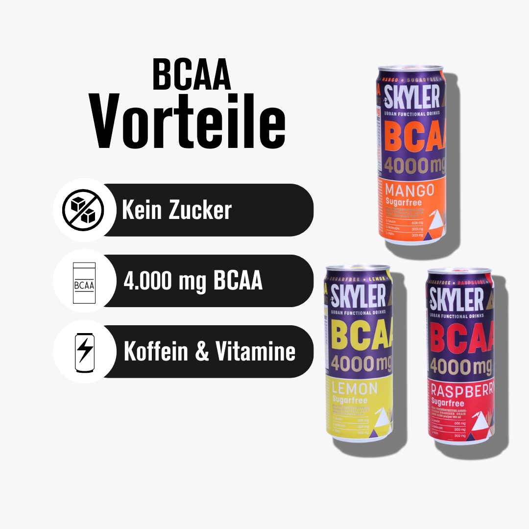 SKYLER 15er Mischtray BCAA Dosen